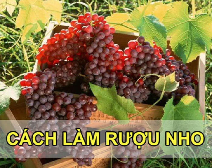 2 cách làm rượu nho thơm ngon